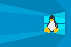 Windows將成為Linux最好的發(fā)行版？使用其4.19內核